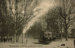 ALESSANDRIA CITTÀ - Tram - Viale Giardini Pubblici - VG - AC047 - Alessandria