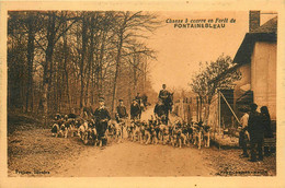 Fontainebleau * Une Chasse à Courre En Forêt * Vénerie Meute Cavalier Chasseurs - Fontainebleau