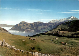 Wirzweli Wiesenberg (5011) * 16. 4. 1981 - Sonstige & Ohne Zuordnung