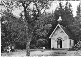 10x15  Noiretable Chapelle De L'Apparition Notre Dame De L'Hermitage - Noiretable