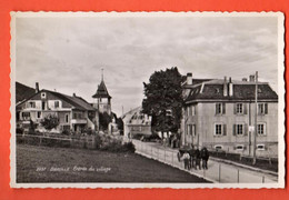 ZMU-27 District Morges, Berolle Entrée Du Village, Attelage Pied Du Jura. Cachet Militaire En 1947 - Morges