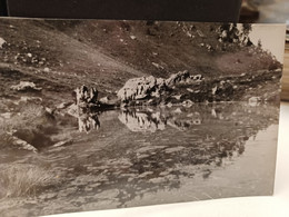 Delcampe - Cartolina Mendatica Prov Imperia Lago Delle Navette 1956 - Imperia