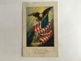 USA American Flag Drapeau Flagge United States Etats Unis American Eagle Old Abe Litho - Other & Unclassified