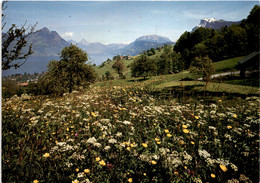 Beckenried, Rigi-Hohfluh (a) - Beckenried