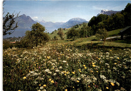 Beckenried, Rigi-Hohfluh * 9. 10. 1987 - Beckenried