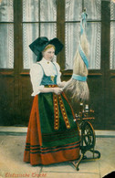 Fantaisie Folklore Patriotisme Alsace Alsacienne Costume Nœud Jeune Fille Rouet Coloré De Bleu - Costumi