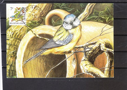 2261  Buzin - Carte MB - Mésange Bleue - 1985-.. Birds (Buzin)