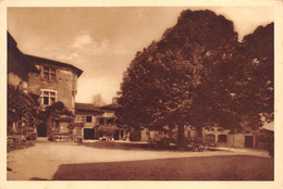 PEROUGES     PLACE  TILLEUL   ARBRE - Pérouges