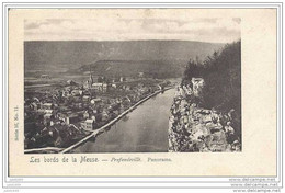 PROFONDEVILLE ..-- Panorama . Série 16 , N° 11 . Avant 1900 !!! - Profondeville