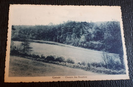 BELGIQUE GISTOUX CHEMIN DES BRUYERES CARTE POSTALE  ANCIENNE 1932 - Chaumont-Gistoux