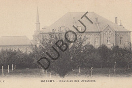 Postkaart-Carte Postale - HAACHT -  Noviciat Des Ursulines  (C2242) - Haacht