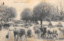 CPA 39 ORGELET LE CHAMP DE FOIRE - Autres & Non Classés