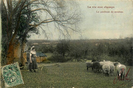 Agriculture * La Vie Aux Champs * La Gardeuse De Moutons * Bergère Berger Métier - Autres & Non Classés