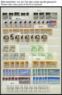 ENGROS 1033-1067 **, 1980, In Den Hauptnummern 6-8x Kompletter Jahrgang Sauber Auf Einsteckseiten, Pracht - Used Stamps