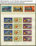 SAMMLUNGEN, LOTS O, 1970-76, Wohl Kompletter Sammlungsteil Auf Seiten, Prachterhaltung - Collections