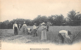 CPA 40 MOISSONNEURS LANDAIS - Sonstige & Ohne Zuordnung