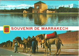 Marrakech (Maroc, Marocco) Vues: La Menara Et Les Remparts - Marrakech