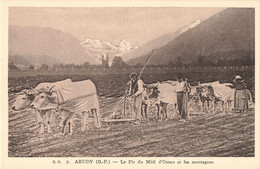 64 Arudy Le Pic Du Midi D' Ossau Et Les Montagnes Attelage Boeufs Boeuf - Arudy