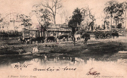 Australie - A Pioneer Settler's Home (cabanon De Colon Australien) Troupeau De Vaches - Postcard By Kerry, Sydney - Sonstige & Ohne Zuordnung