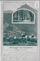 Mollis Gegen Den Frohnalpstock 1900 - Mollis