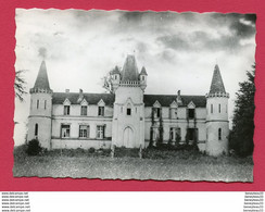 CPSM (Réf : U 780) 96 TOURNON-D'AGENAIS  (47 LOT Et  GARONNE) Château Du Foulou - Tournon D'Agenais