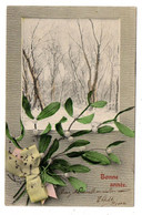 Nouvel An --Bonne Année --1904---Paysage De Neige Et Bouquet De Gui  .........à Saisir - Anno Nuovo