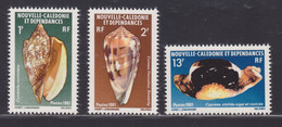 NOUVELLE CALEDONIE N°  446 à 448 ** MNH Neufs Sans Charnière, TB (D7923) Faune, Coquillages - 1981 - Unused Stamps