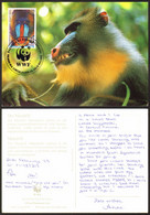 Africa Equatorial Guinea Mandrill Nice Stamp   # 35719 - Guinea Ecuatorial