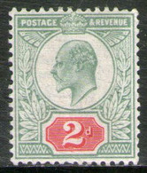 REINO UNIDO - GREAT BRITAIN Sello Mint (sin Rastro De Bisagra) De 2 P. REY EDUARDO 7° Años 1902-04 – Valorizado € 51,00 - Nuovi