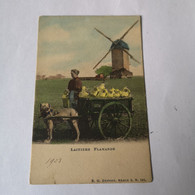 Belgie - Belgique / Onbekend Waar? // Laitiere Flamande (Attelage Chien - Hondenkar - Moulin - Molen) Kleur! Ca 1900 - Andere & Zonder Classificatie