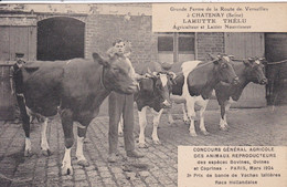 92 CHATENAY Ferme De La Route Versailles Agriculteur Laitier Lahutte Thelu 1924 Concours Agricole - Chatenay Malabry