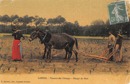 CPA 40 LANDES TRAVAUX DES CHAMPS BINAGE DU MAIS - Sonstige & Ohne Zuordnung