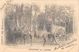 CPA 40 MULETIERS DES LANDES - Other & Unclassified