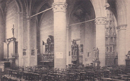 Zout-Leeuw - Léau - De Noorderkant Der Kerk - Le Côté Nord De L'Eglise - Zoutleeuw