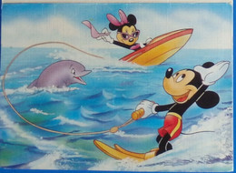 Petit Calendrier De Poche 1993 Disney Mickey Minnie Dauphin - Coiffeur Coiffure Neuves Maisons Meurthe Et Moselle - Small : 1991-00