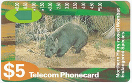 AUSTRALIA B-946 Magnetic Telecom - Animal, Wombat - Used - Australia