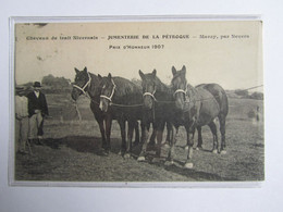 NEVERS (Nièvre), Jumenterie De La Pétroque, Prix D'honneur 1907, Chevaux De Trait Nivernais, Marzy Par Nevers - Nevers