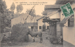 94-CRETEIL- LES BORDS DE LA MARNE FERME DANS LA PRAIRIE - Creteil