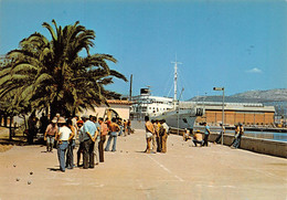 [83] LA SEYNE SUR MER - EN PLEIN TRAVAIL ...   # Pétanque - Petanca