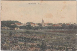 REF18.841  BOUCHES DU RHÔNE.PELISSANNE.VUE PANORAMIQUE - Pelissanne