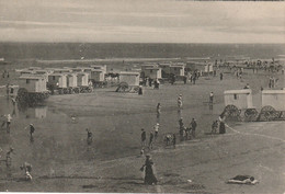 BLANKENBERGHE CARTE PHOTO ?  Octobre 1939 (cabine De Bain Sur Roue Scène De Bain Cheval) - Blankenberge