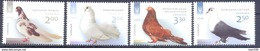 2014. Ukraine, Pigeons, 4v, Mich. 1443-46, Mint/** - Ukraine