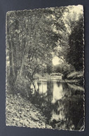 ON, Vallée De La Wamme, La Rivière Aux Eaux Sauvages Où Frétille La Truite (Les Editions "Arduenna", Marche-en-Famenne) - Marche-en-Famenne