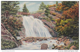 Colorado Colorado Springs Helen Hunt Falls North Cheyenne Canon 1939 Curteich - Colorado Springs