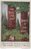 Colorado Denver We Pine For You Spruce Up And Come 1907 - Denver