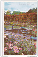 Oregon Portland Water Lily Pool And Rose In Lambert Gardens - Portland