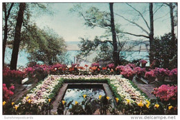 Alabama Mobile The Pool In Bellingrath Gardens - Mobile