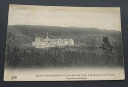 Sanatorium Populaire De La Province De Liège à Borgoumont-La-Gleize - Vue Ponoramique - Stoumont