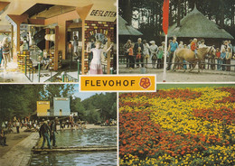 Netherlands Nederland - Flevohof Horses - Other & Unclassified