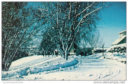 Canada Ontario Oshawa Kingsway College Campus Winter Scene - Oshawa
